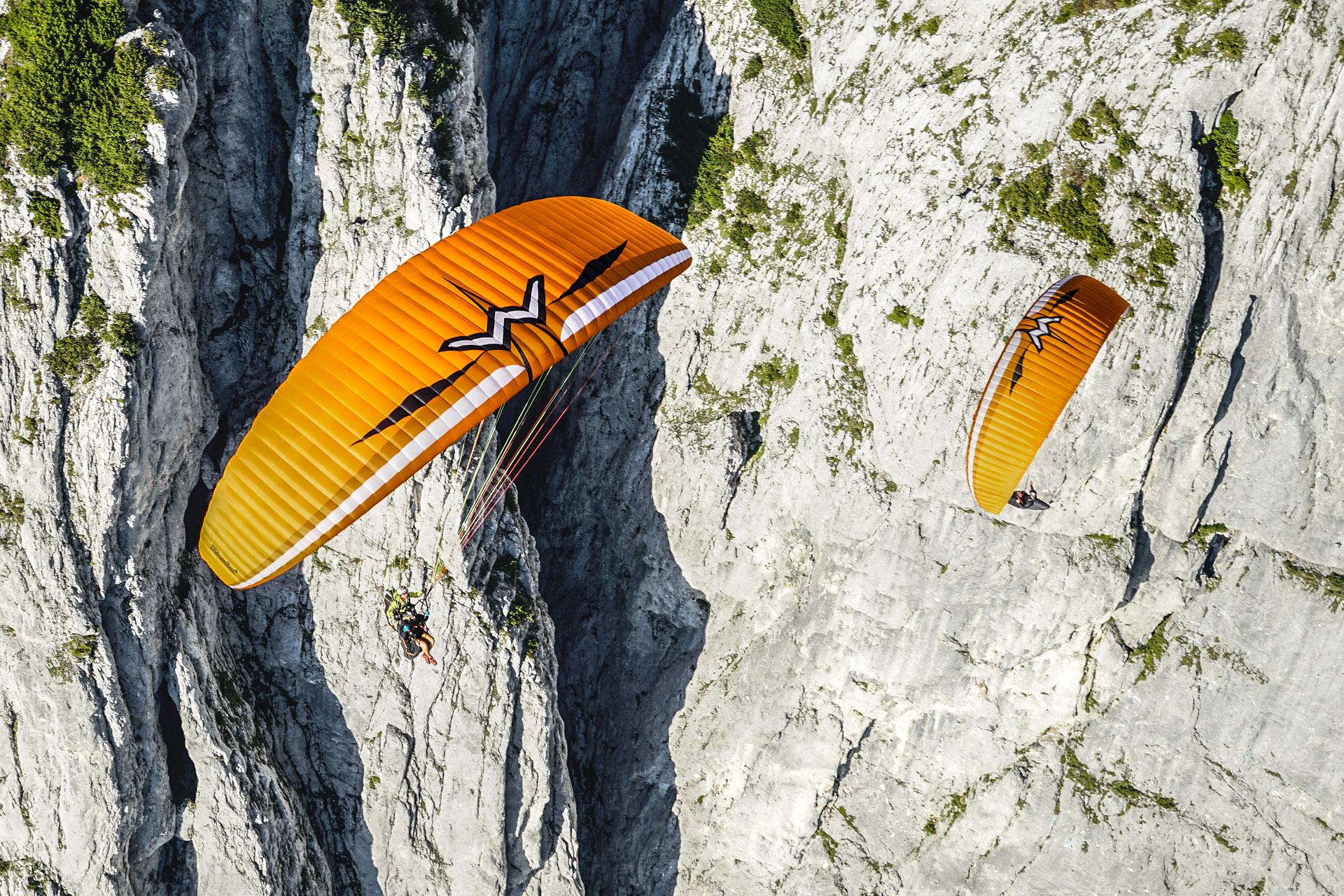 Tandem Paraglide Pasha 6 - orange