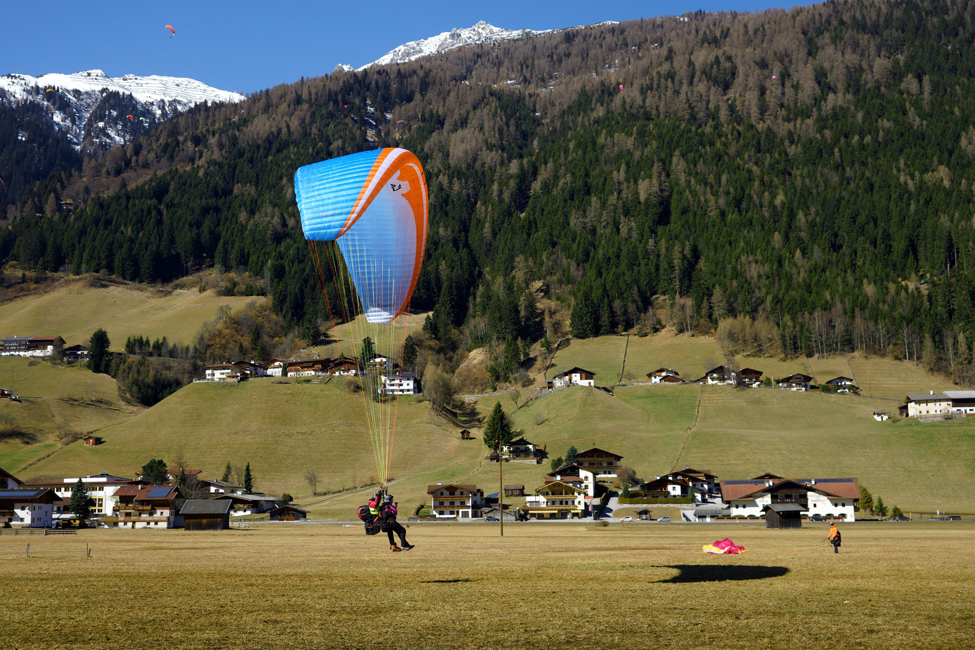 Tandem Paraglide Pasha 6 - blue