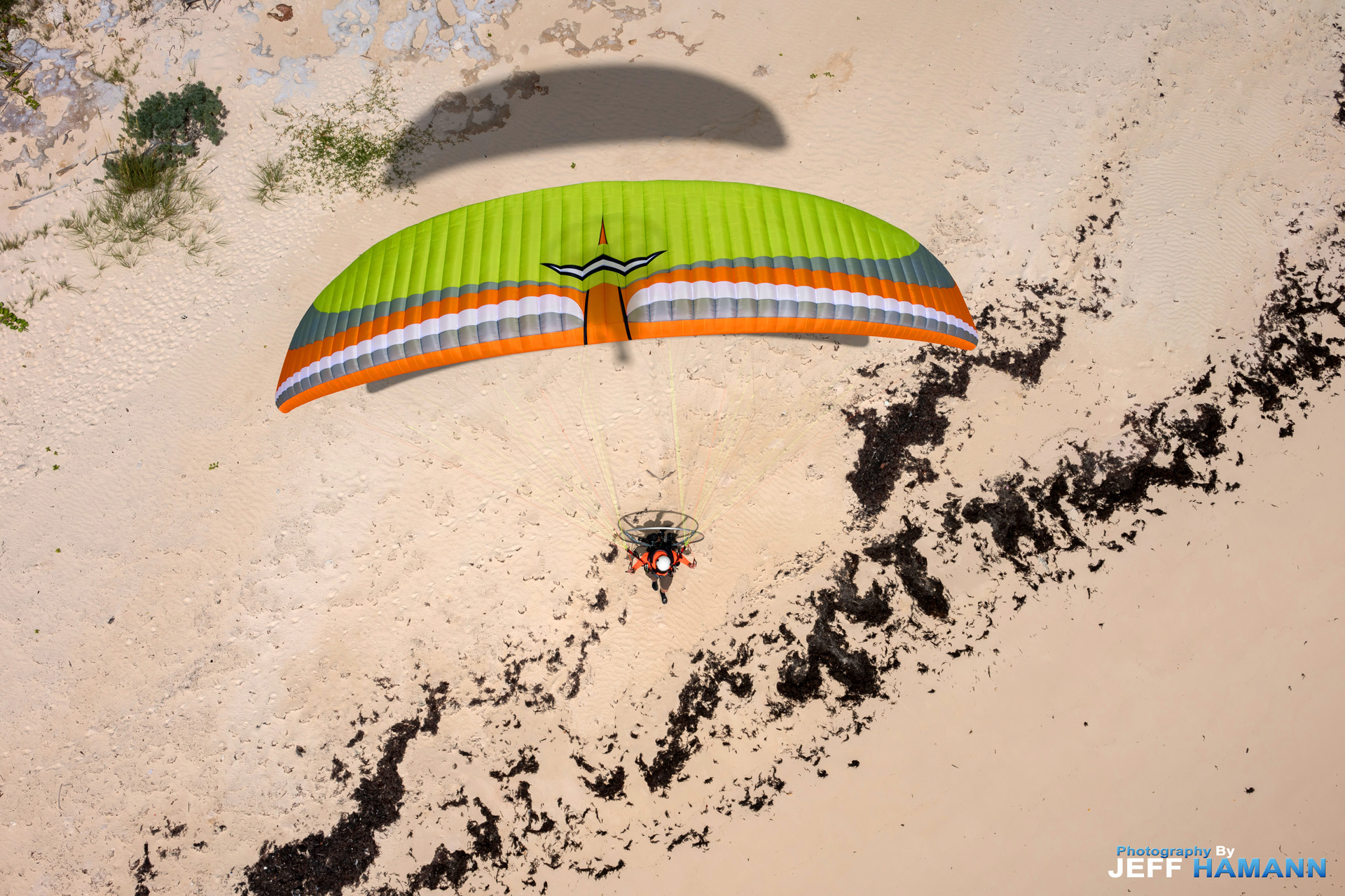 Colorado lime - Bahamas