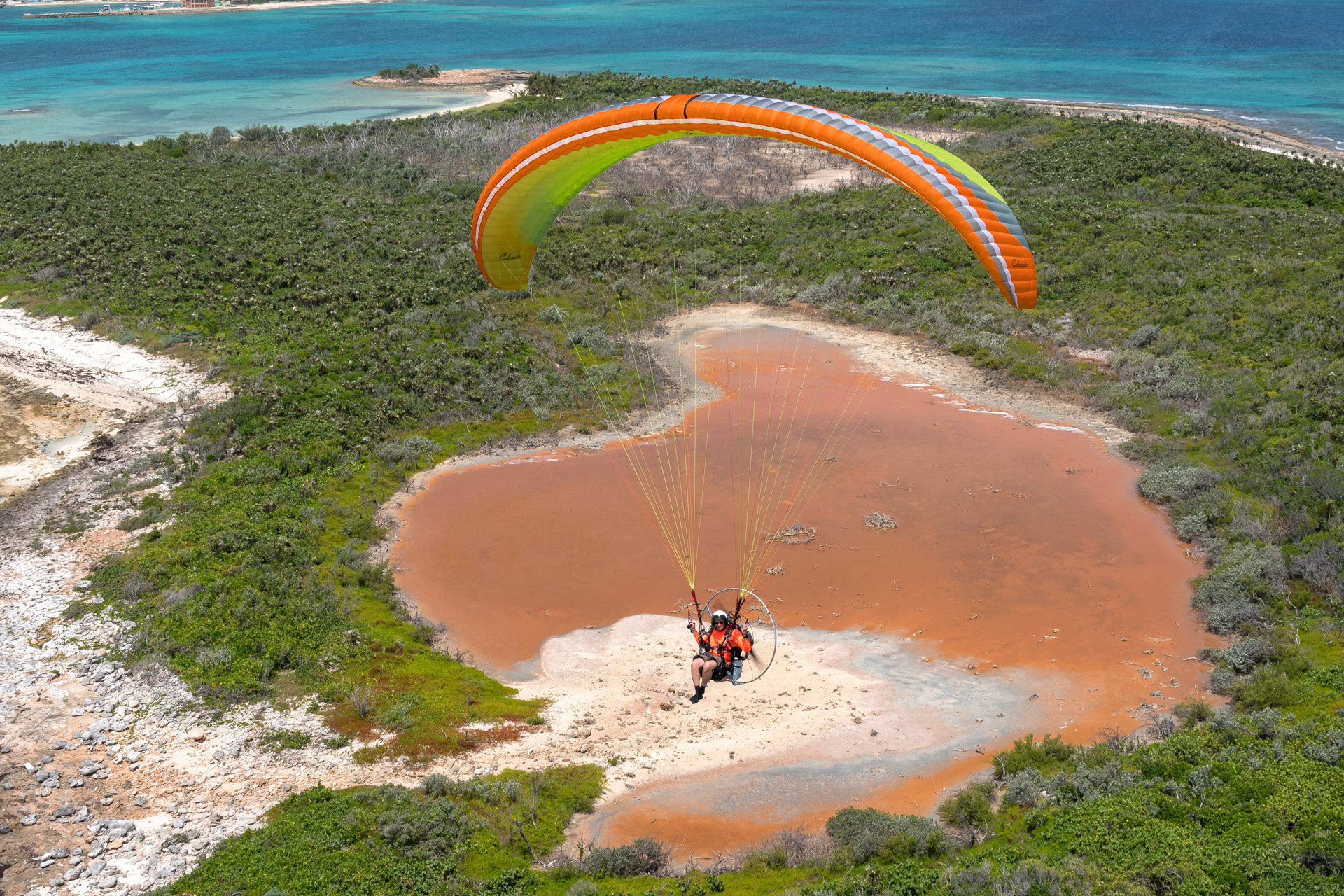 Colorado lime - Bahamas