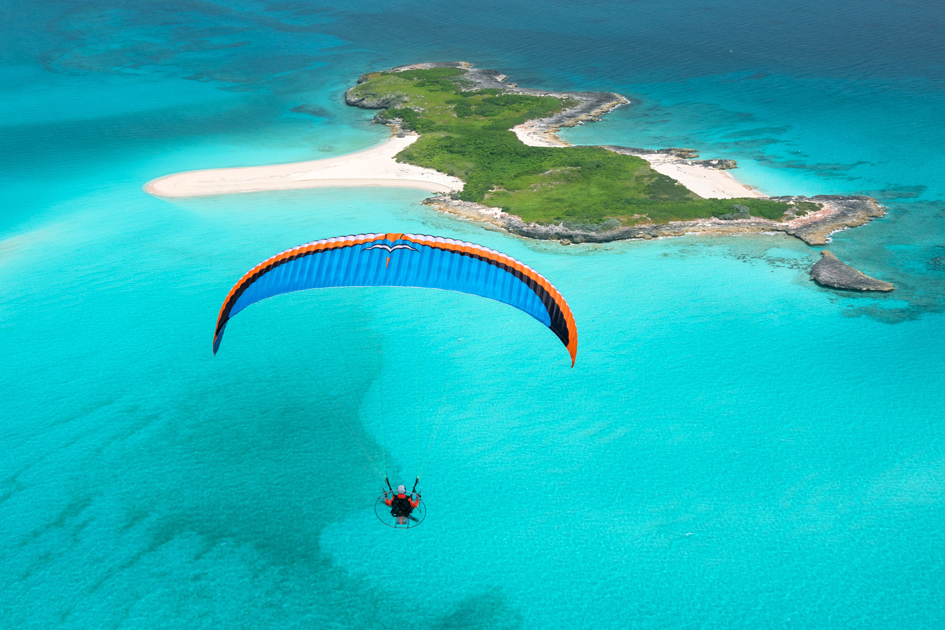Colorado blue- Bahamas