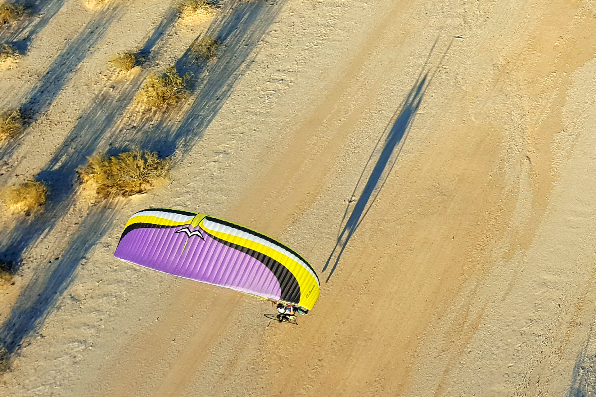 Colorado special design