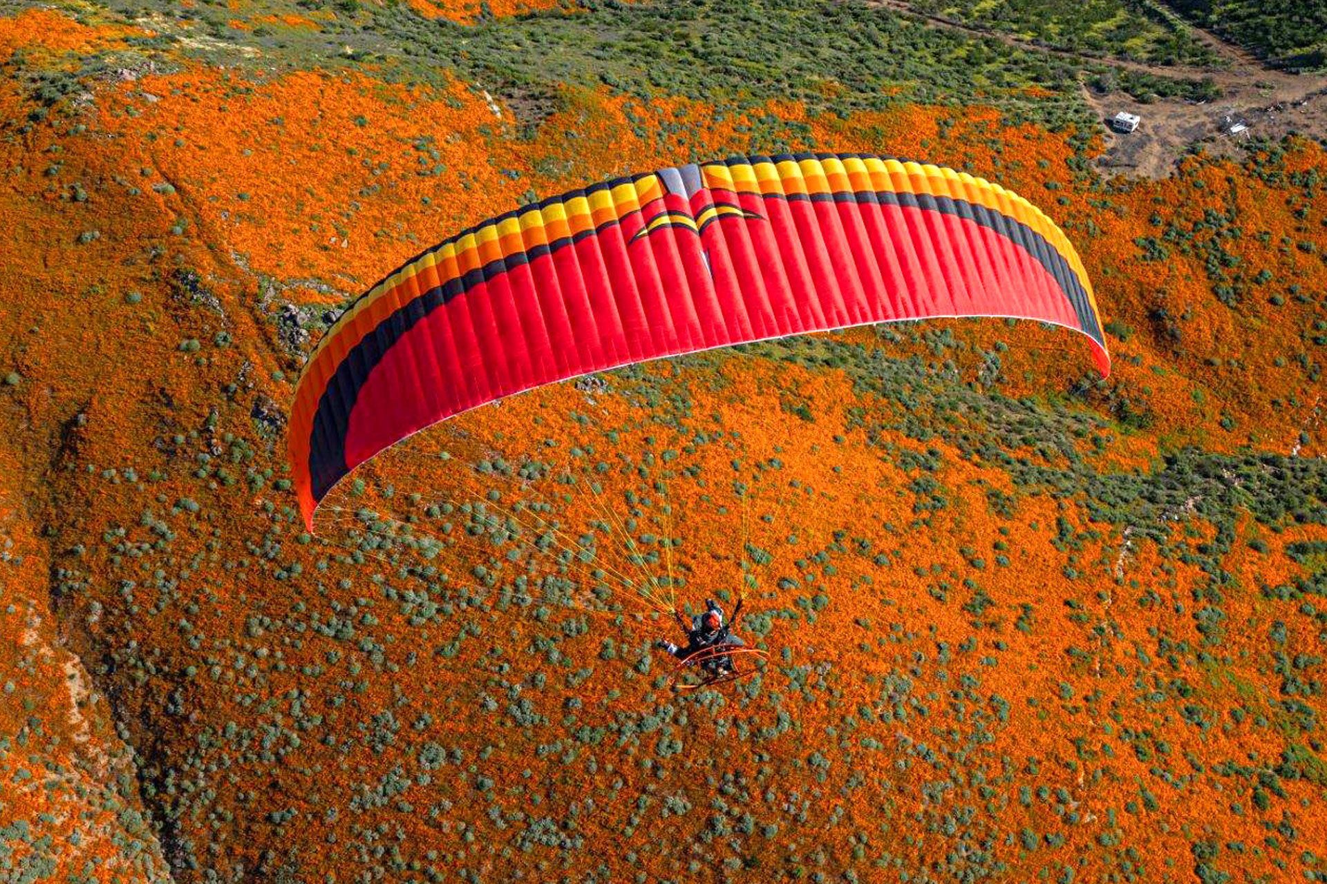 Colorado with flowers