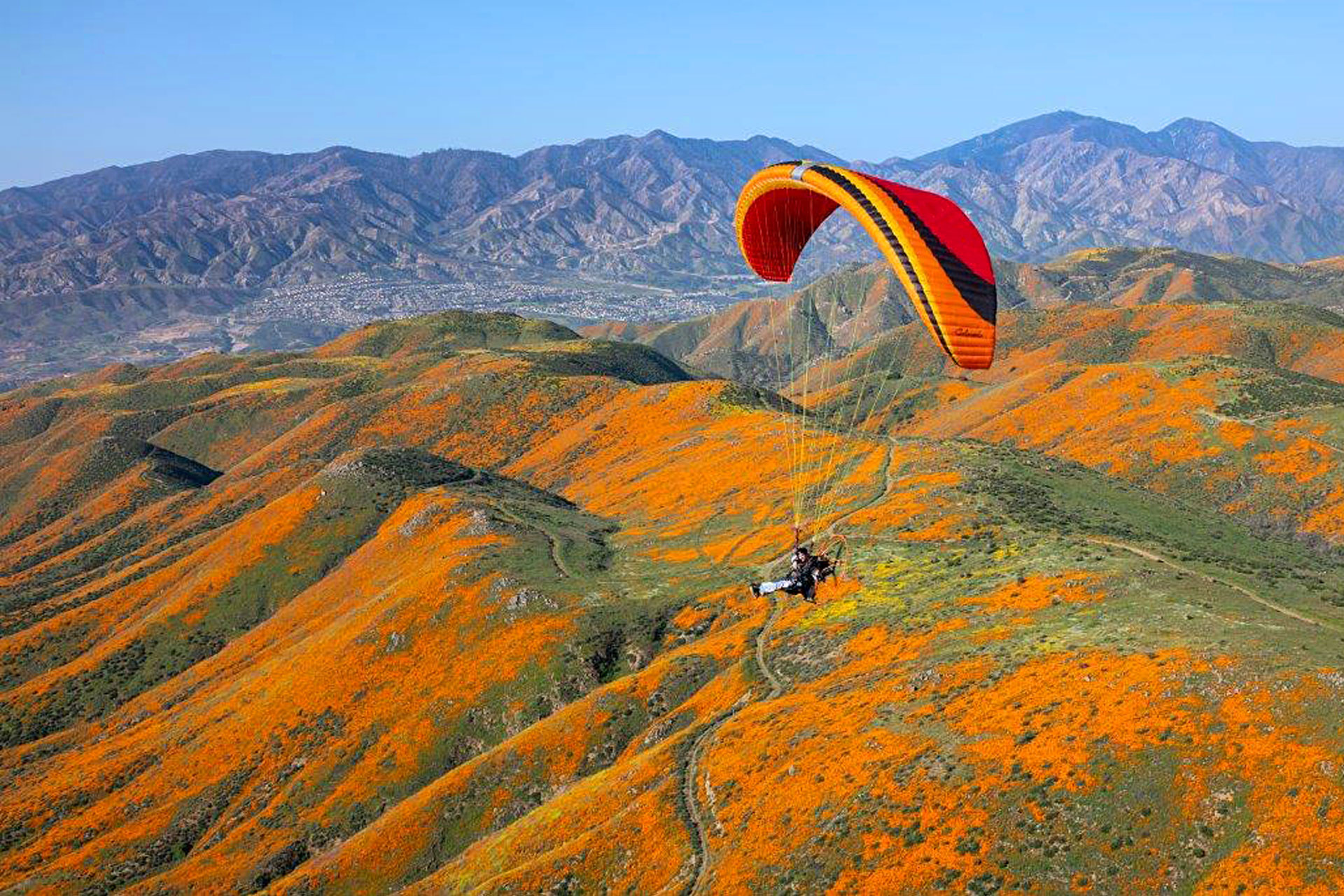 Colorado with flowers