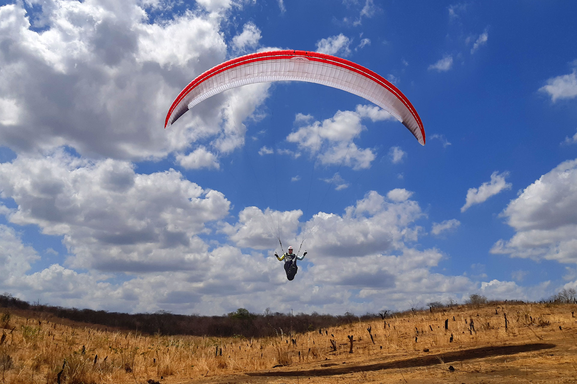 MAGUS Report by Ziad Bassil