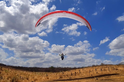 MAGUS Report by Ziad Bassil