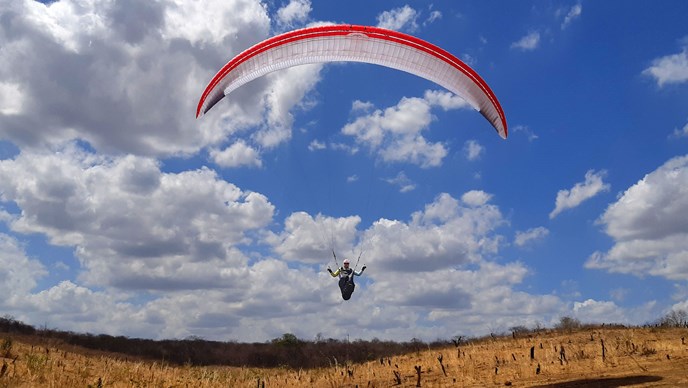 MAGUS Report by Ziad Bassil