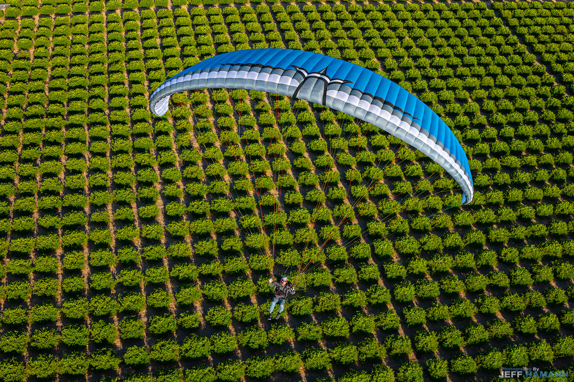 Illusion Hybrid- Blue-Grey