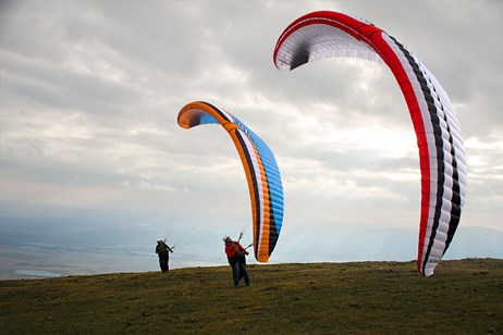 pair Eden 7