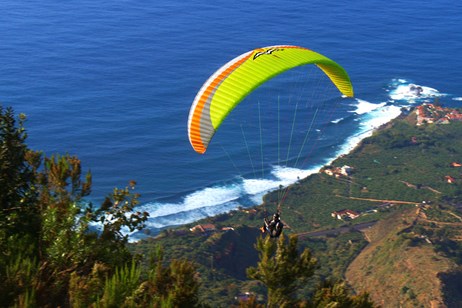Eden 7 lime