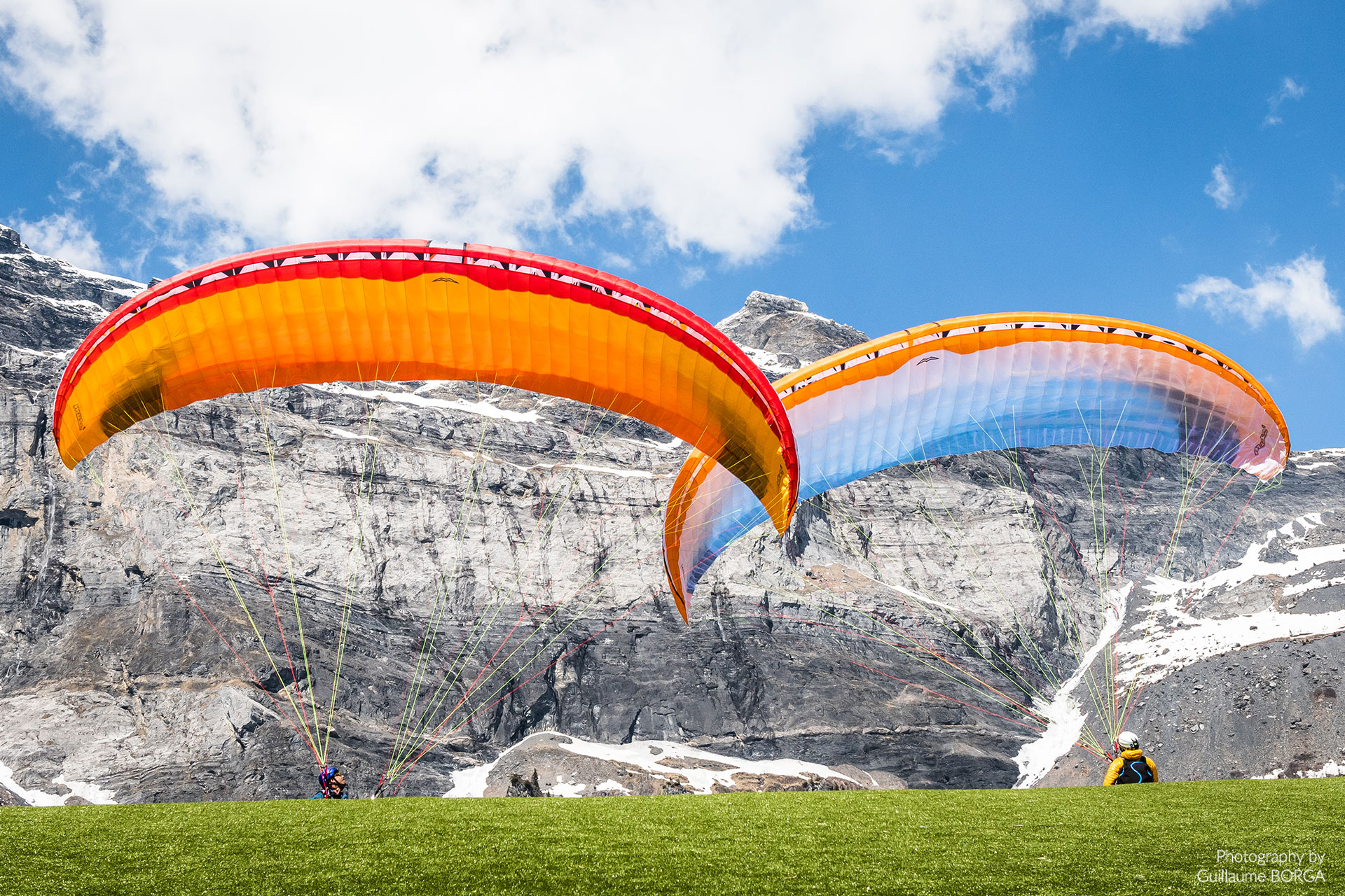 Muse 5 - red and blue