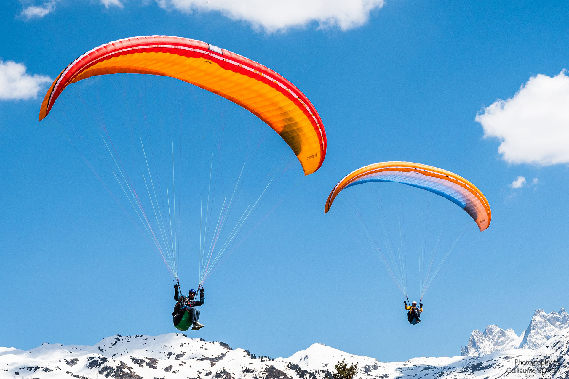 Muse 5 - red and blue