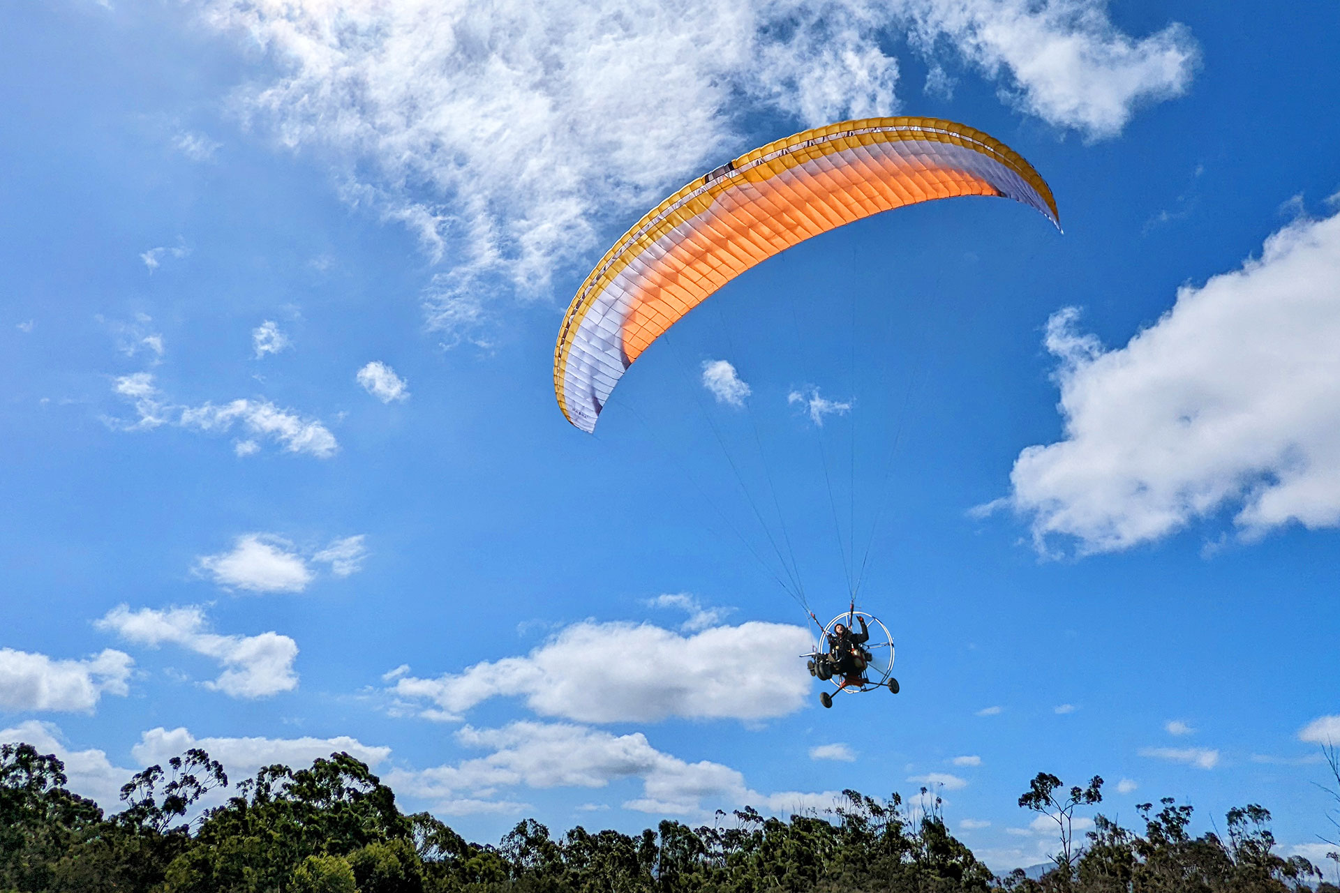 Pasha 7 Trike - Orange