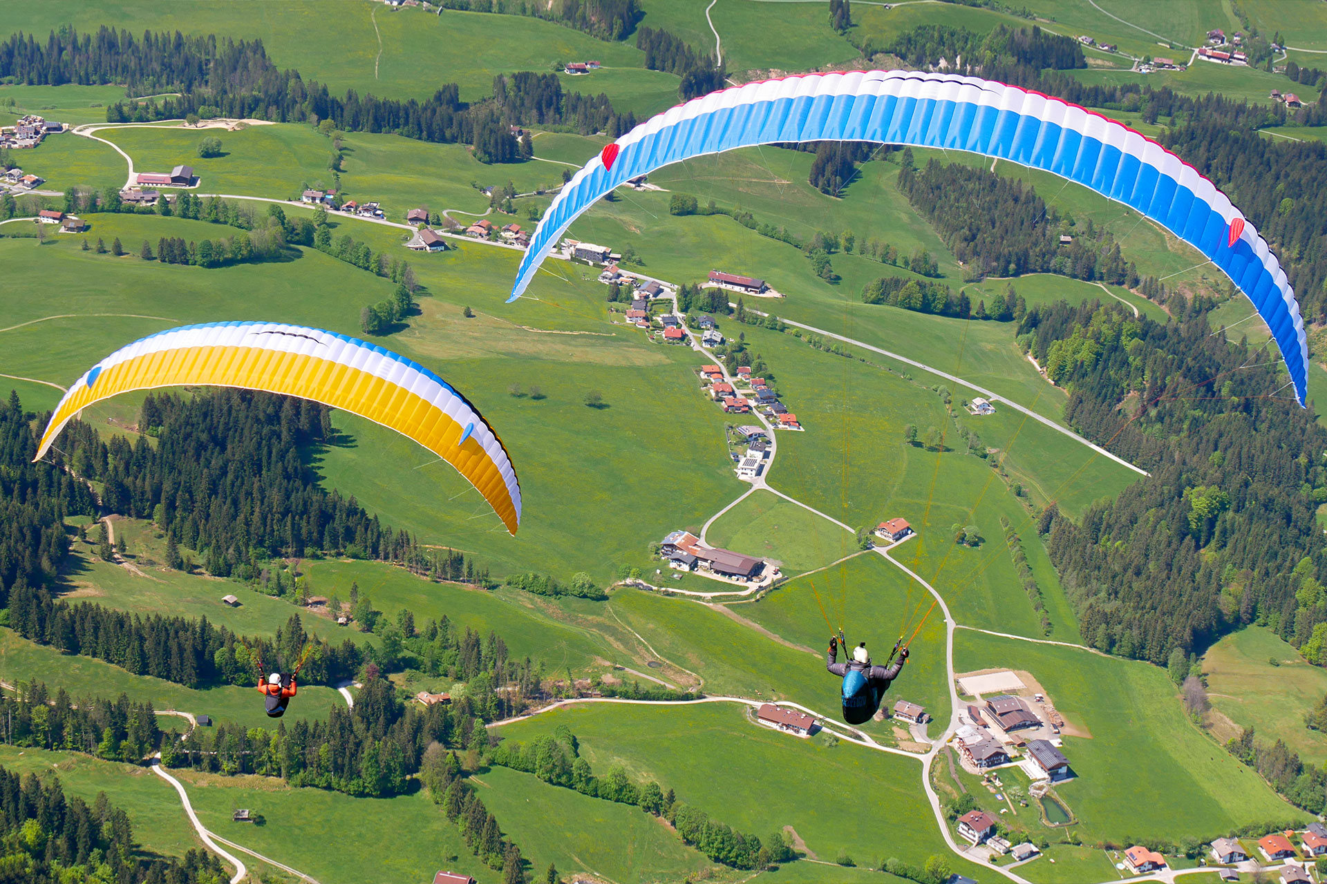 Eden 8 - gold and blue