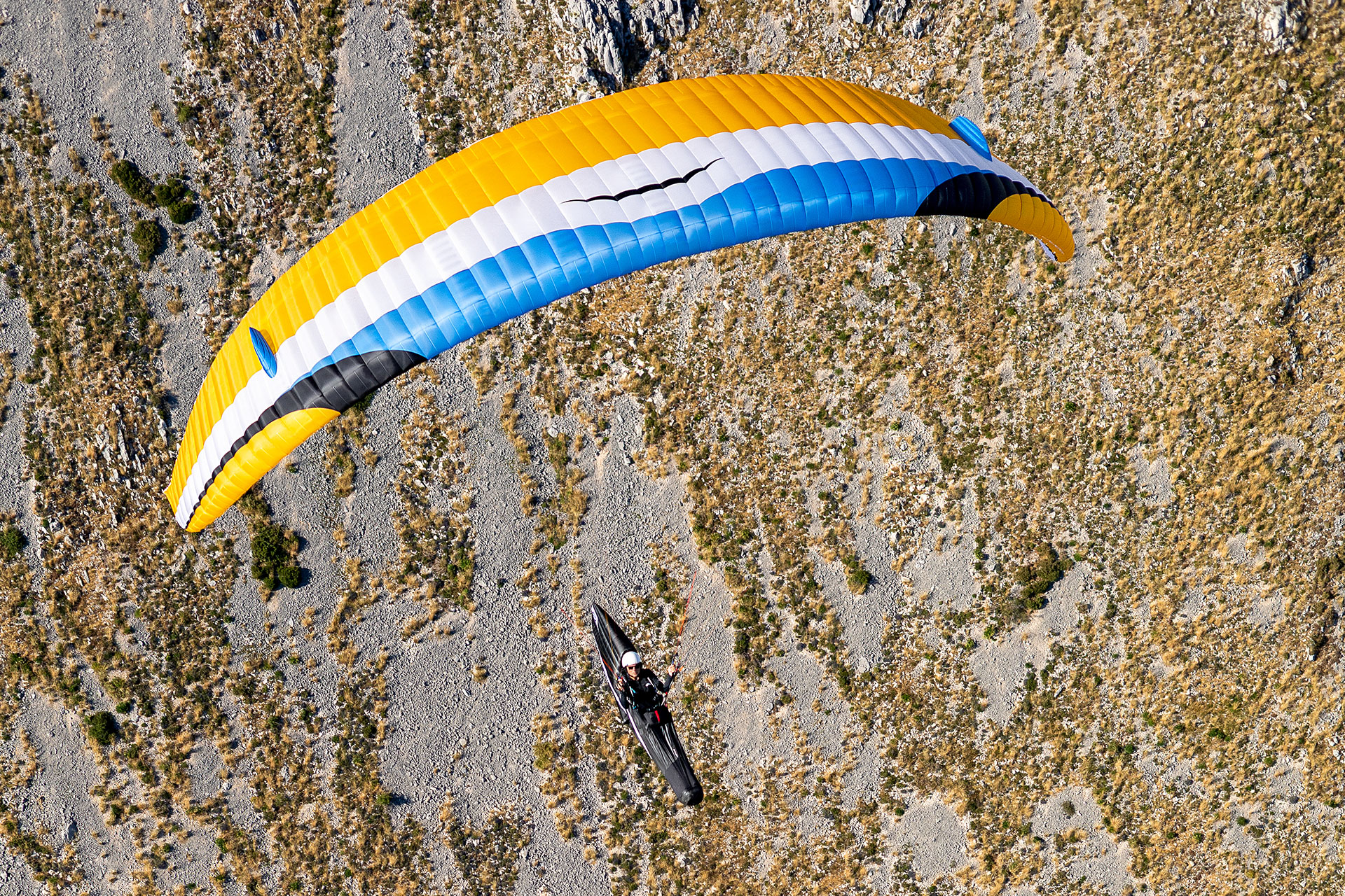 Eden 8 - gold - Photos by Charlie King