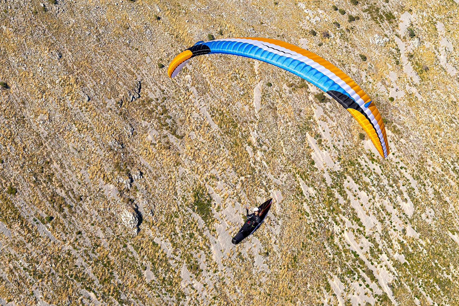 Eden 8 - gold - Photos by Charlie King