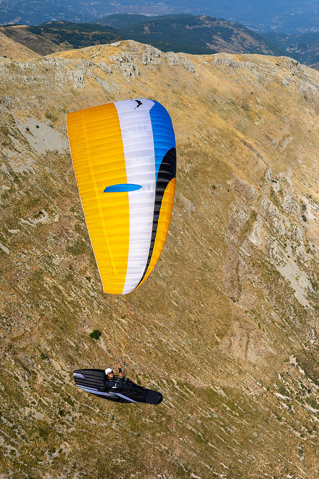 Eden 8 - gold - Photos by Charlie King